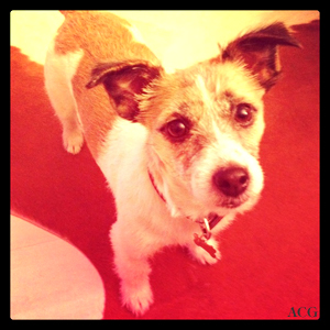 jaquie