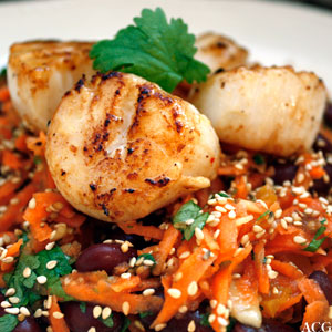 gulrotsalat_kamskjell