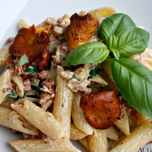 tallerken med pasta og katareller