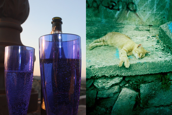 puglia_glass_katt_martine