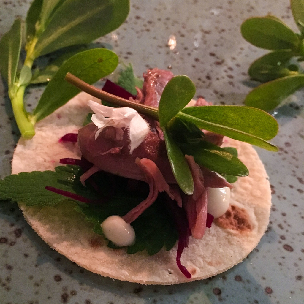 grevling-taco