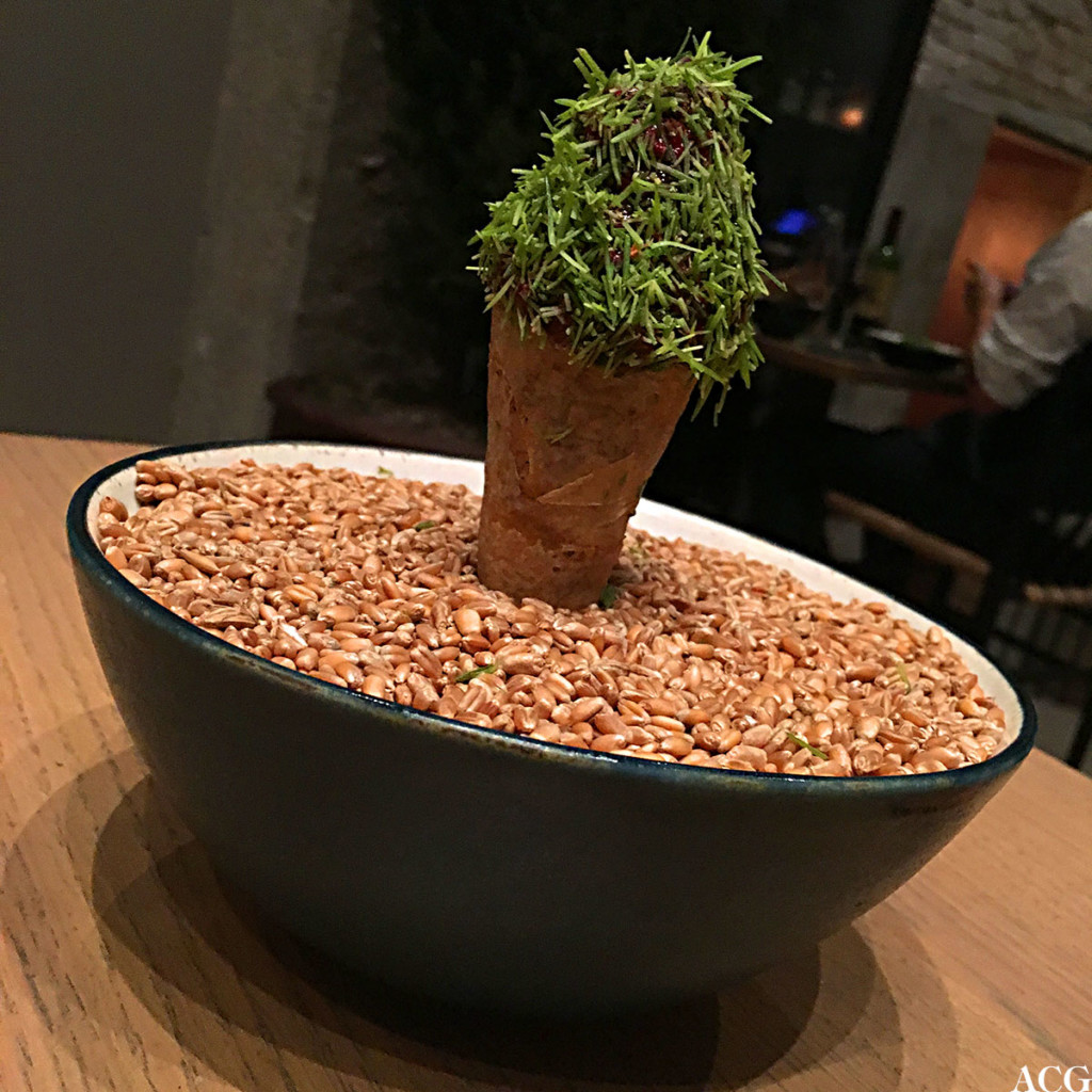 blåbærsorbet med granskudd